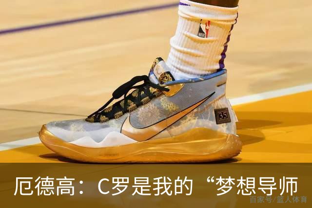 厄德高：C罗是我的“梦想导师