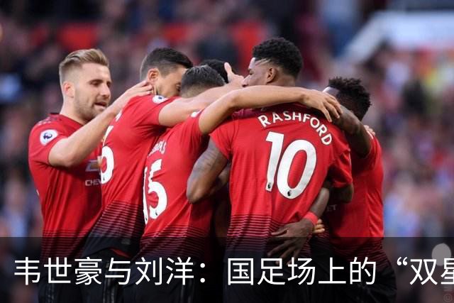 韦世豪与刘洋：国足场上的“双星”闪耀之路